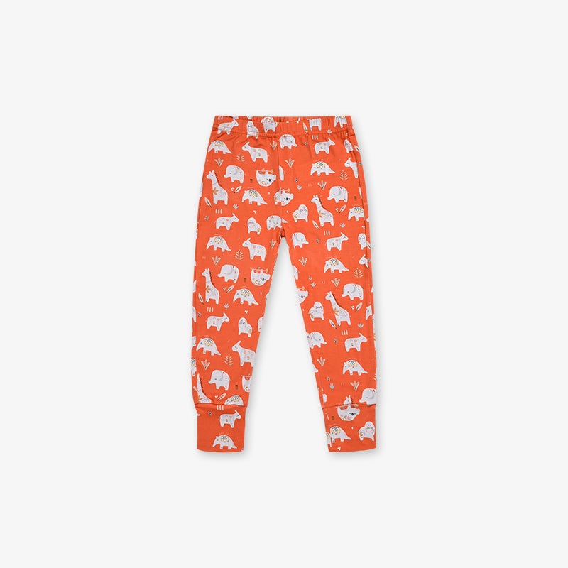 Bamboo 2 Piece PJ - Safari Buddies
